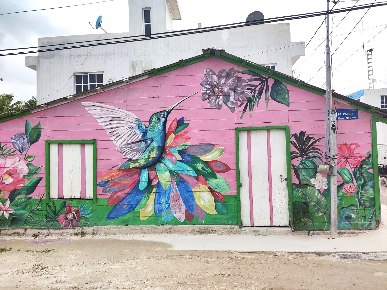 Murales decorativos de Holbox